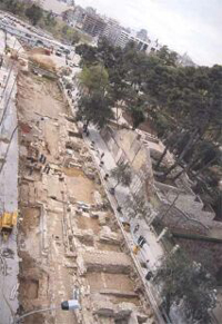 Ruïnes del Palau Real