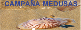  meduses
